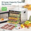 imageCOSORI Food Dehydrator Bigger Than 7 Trays With Large 65quot Drying Space 600W Power Saves More Time Than 480W 165F Dehydrated Dryer for Jerky Dog Treats Herbs Meat Fruit and Yogurt SilverSilverXL